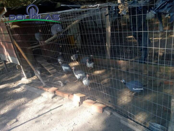 Imagem Chácara com 2 Quartos à Venda, 40 m² em Centro - Viamão