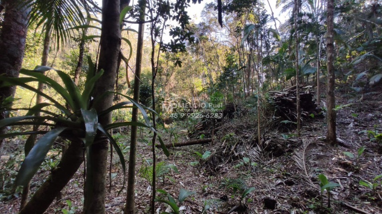 Imagem Imóvel à Venda,  em Ribeirão Da Velha - Nova Trento
