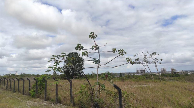 Imagem Terreno à Venda, 17.000 m² em Centro - Camaçari Imagem Terreno à Venda, 17.000 m² em Centro - Camaçari