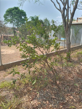 Imagem Chácara à Venda, 1.999 m² em Condomínio Tiradentes - Brumadinho
