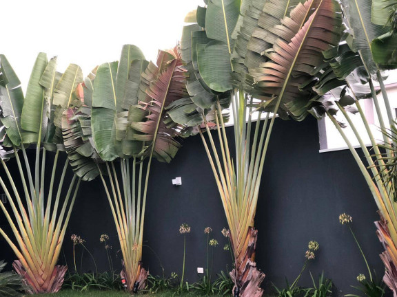 Imagem Casa de Condomínio à Venda, 824 m² em Alphaville Nova Esplanada - Votorantim