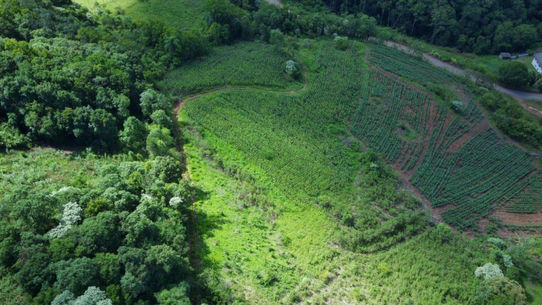 Imagem Terreno à Venda, 12.455 m² em Primavera - Concórdia Imagem Terreno à Venda, 12.455 m² em Primavera - Concórdia