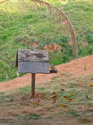 Imagem Imóvel com 2 Quartos à Venda, 90 m² em Zona Rural - Caldas Imagem Imóvel com 2 Quartos à Venda, 90 m² em Zona Rural - Caldas