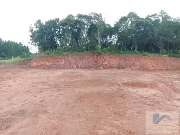 Imagem Terreno à Venda, 4.411 m² em Campo Largo Da Roseira - São José Dos Pinhais