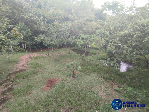 Imagem Chácara à Venda, 2 m² em Zona Rural - Bonfinópolis Imagem Chácara à Venda, 2 m² em Zona Rural - Bonfinópolis
