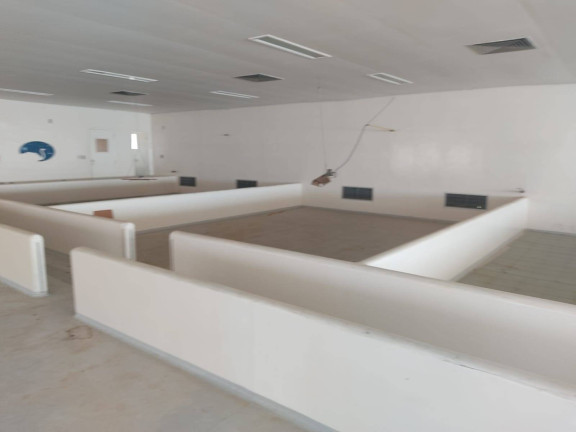 Imagem Chácara com 4 Quartos à Venda, 850 m² em Itarassú - Capela Do Alto Imagem Chácara com 4 Quartos à Venda, 850 m² em Itarassú - Capela Do Alto