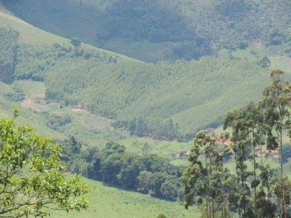 Imagem Terreno à Venda, 5.000 m² em Cunha