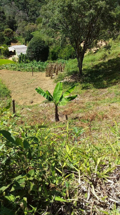 Imagem Chácara à Venda, 2 m² em Briet Catuçaba - São Luíz Do Paraitinga Imagem Chácara à Venda, 2 m² em Briet Catuçaba - São Luíz Do Paraitinga