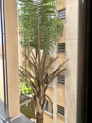 Imagem Apartamento com 2 Quartos para Alugar, 60 m² em Jardim Caiapiá - Cotia Imagem Apartamento com 2 Quartos para Alugar, 60 m² em Jardim Caiapiá - Cotia