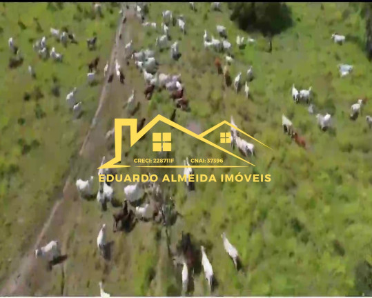 Imagem Imóvel à Venda,  em Barreira Da Onça - Arraias