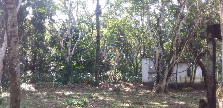 Imagem Fazenda à Venda, 5.000 m² em San Marcos - Itanhaém Imagem Fazenda à Venda, 5.000 m² em San Marcos - Itanhaém
