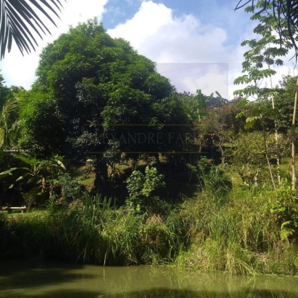 Chácara com 3 Quartos à Venda, 2.000 m² em Enseada - São Sebastião