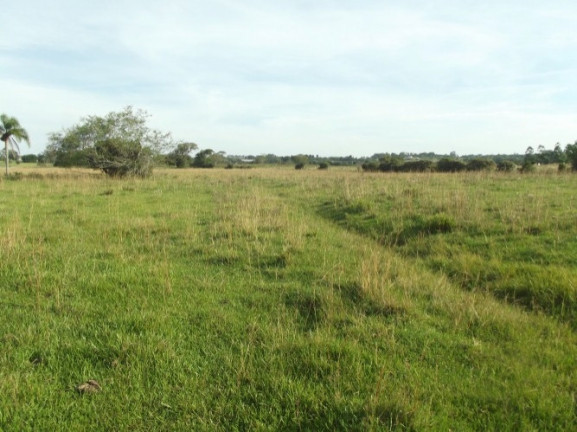 Imagem Chácara à Venda, 8 m² em águas Claras - Viamão Imagem Chácara à Venda, 8 m² em águas Claras - Viamão