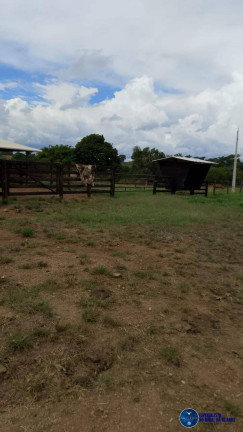 Imagem Chácara à Venda, 5 m² em Zona Rural - Mairipotaba Imagem Chácara à Venda, 5 m² em Zona Rural - Mairipotaba