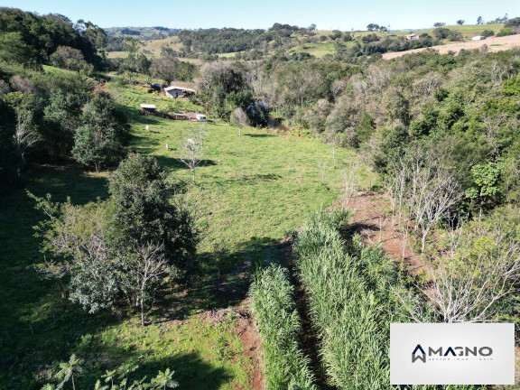 Imagem Chácara com 2 Quartos à Venda, 36.000 m² em Centro - Lindoeste