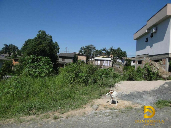 Terreno à Venda, 409 m² em Santo Antônio - Criciúma