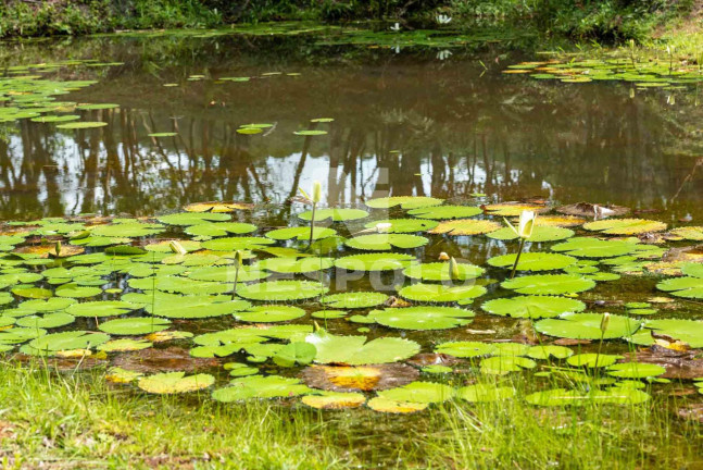 Imagem Terreno à Venda,  em Rio Do Meio - Camboriu