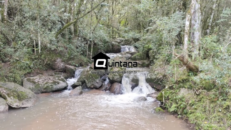 Imagem Imóvel com 2 Quartos à Venda, 640.000 m² em 1º Distrito - Canguçu Imagem Imóvel com 2 Quartos à Venda, 640.000 m² em 1º Distrito - Canguçu