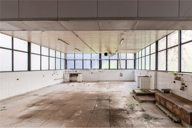 Imagem Casa com 8 Quartos à Venda, 1.130 m² em Higienópolis - São Paulo Imagem Casa com 8 Quartos à Venda, 1.130 m² em Higienópolis - São Paulo