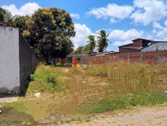 Imagem Terreno à Venda, 530 m² em São José - Macaíba
