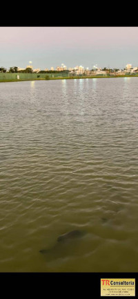 Imagem Terreno à Venda, 500 m² em Campos Dos Goytacazes