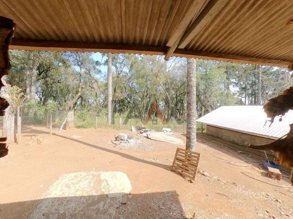 Imagem Fazenda à Venda, 24.200 m² em Morro Alto - Guarapuava Imagem Fazenda à Venda, 24.200 m² em Morro Alto - Guarapuava
