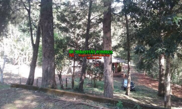 Imagem Chácara com 4 Quartos à Venda, 3 m² em São Francisco Xavier - São José Dos Campos Imagem Chácara com 4 Quartos à Venda, 3 m² em São Francisco Xavier - São José Dos Campos