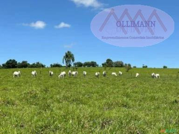 Imagem Terreno à Venda, 87 m² em Capela Do Alto - Capela Do Alto