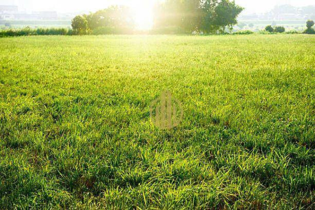 Imagem Terreno à Venda, 5.937 m² em Campos Elíseos - Ribeirão Preto Imagem Terreno à Venda, 5.937 m² em Campos Elíseos - Ribeirão Preto