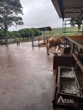 Imagem Fazenda à Venda, 109 m² em Centro - Pouso Alegre