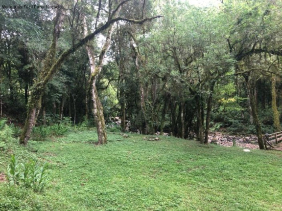 Imagem Imóvel com 2 Quartos à Venda, 80 m² em Linha Pirajá Baixa - Nova Petrópolis
