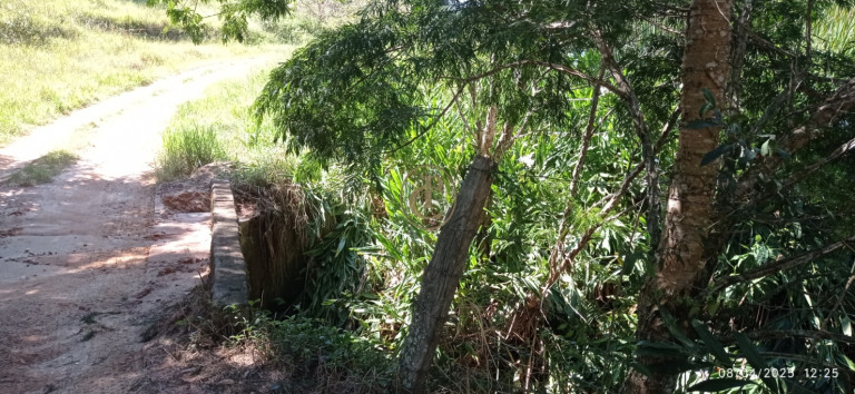 Imagem Chácara à Venda, 63.000 m² em Centro - Santa Branca Imagem Chácara à Venda, 63.000 m² em Centro - Santa Branca