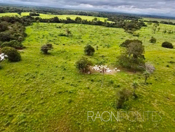 Imagem Fazenda à Venda, 7.930.000 m² em Zona Rural - Filadélfia Imagem Fazenda à Venda, 7.930.000 m² em Zona Rural - Filadélfia