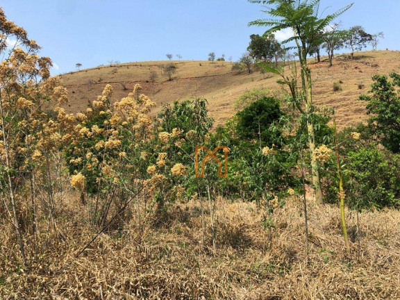 Imagem Fazenda à Venda, 17.000 m² em área Rural De Itajubá - Itajubá