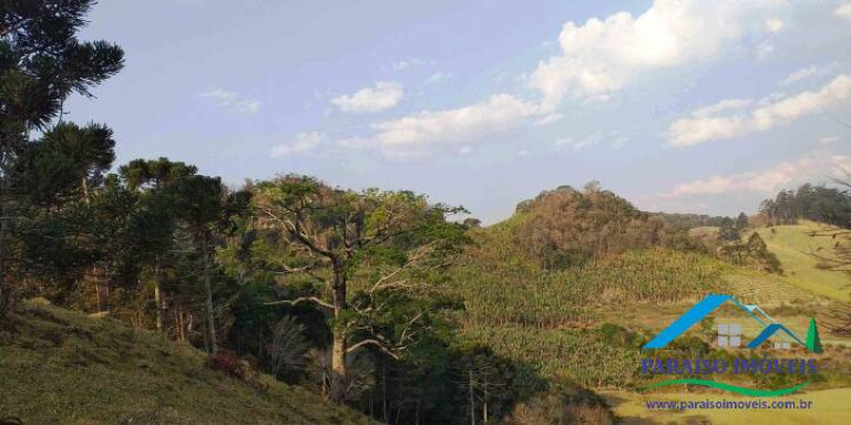 Imagem Terreno à Venda, 72 m² em Centro - Paraisópolis