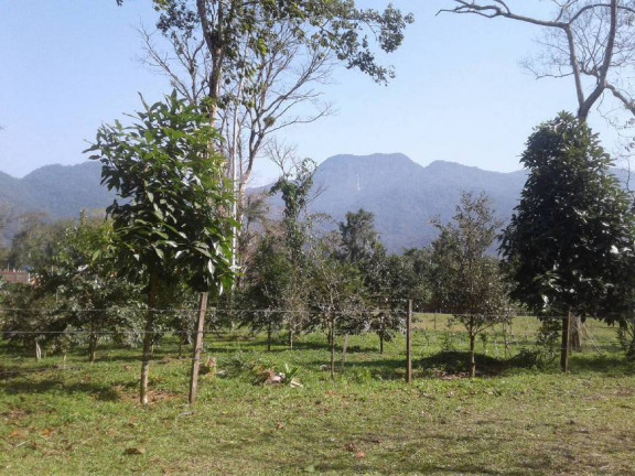 Imagem Terreno em Condomínio à Venda, 360 m² em Sertão Da Quina - Ubatuba