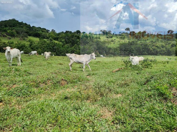 Fazenda à Venda,  em Aguanil