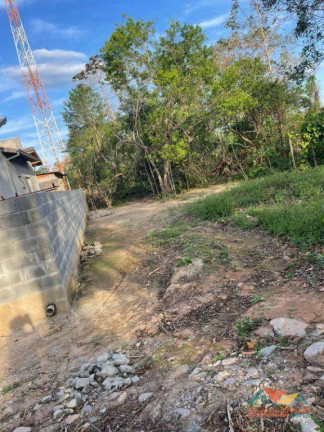 Imagem Terreno à Venda, 250 m² em Massaguaçu - Caraguatatuba