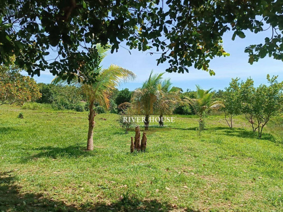 Imagem Chácara à Venda, 70.000 m² em Zona Rural - Cuiabá Imagem Chácara à Venda, 70.000 m² em Zona Rural - Cuiabá