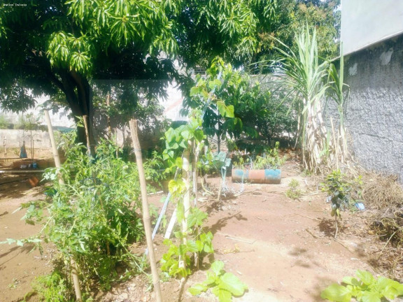 Imagem Casa com 1 Quarto à Venda, 65 m² em Vila Suzana - Mateus Leme