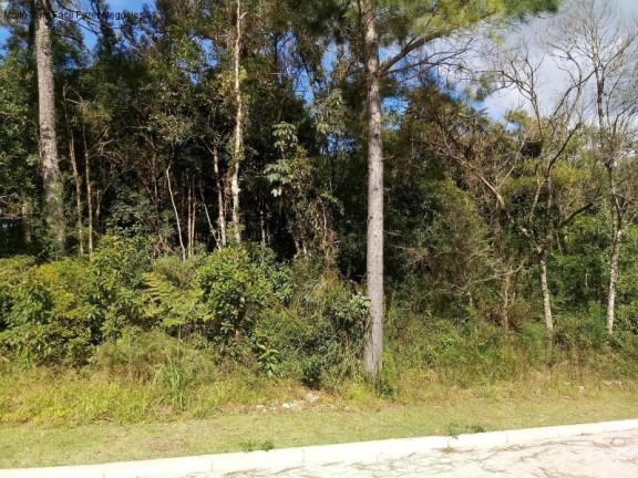 Terreno à Venda, 370 m² em Linha Imperial - Nova Petrópolis