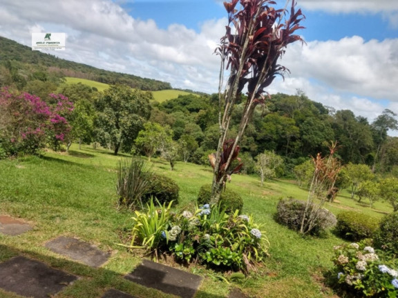 Imagem Fazenda à Venda, 172.000 m² em Mailasqui - São Roque Imagem Fazenda à Venda, 172.000 m² em Mailasqui - São Roque