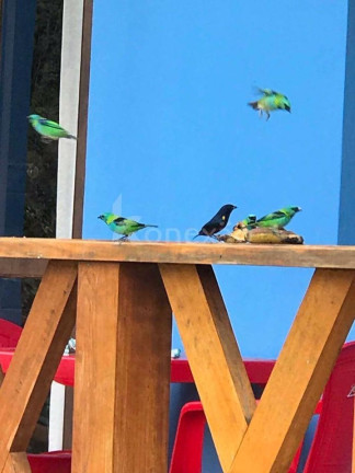 Imagem Chácara com 3 Quartos à Venda, 200 m² em Centro - Paraibuna Imagem Chácara com 3 Quartos à Venda, 200 m² em Centro - Paraibuna