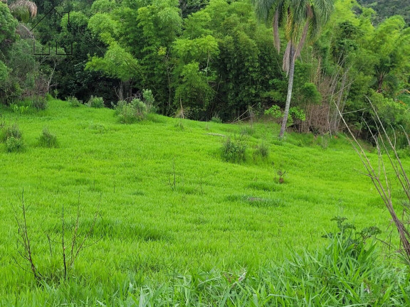 Imagem Terreno à Venda, 14 m² em Morro Grande Da Boa Vista - Bragança Paulista Imagem Terreno à Venda, 14 m² em Morro Grande Da Boa Vista - Bragança Paulista