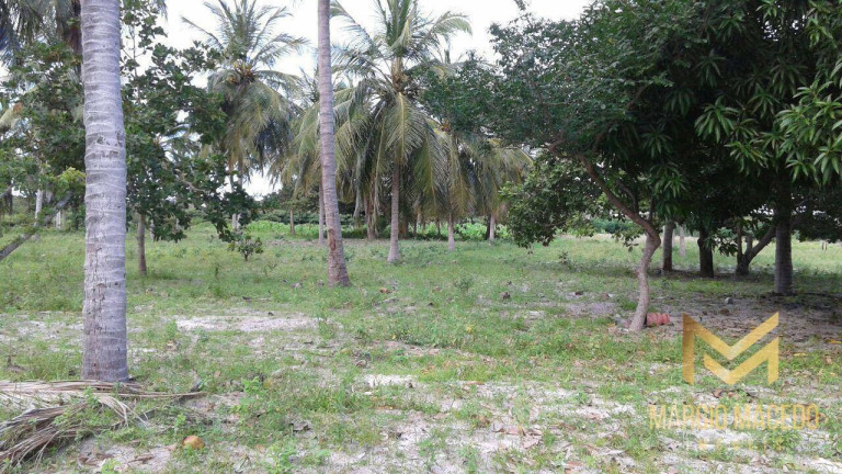 Imagem Terreno à Venda, 247.664 m² em Zona Rural - Beberibe Imagem Terreno à Venda, 247.664 m² em Zona Rural - Beberibe