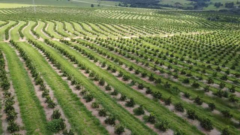 Imagem Fazenda à Venda, 121 m² em Rio Pardo - águas De Santa Bárbara Imagem Fazenda à Venda, 121 m² em Rio Pardo - águas De Santa Bárbara