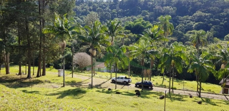 Imagem Chácara com 5 Quartos à Venda, 193.600 m² em Batatuba - Piracaia