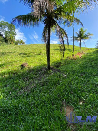 Imagem Terreno à Venda, 5.000 m² em Comunidade Urbana De Jaboti - Guarapari