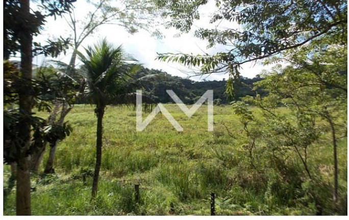 Imagem Fazenda à Venda, 250.000 m² em Cachoeirinha - Juquiá Imagem Fazenda à Venda, 250.000 m² em Cachoeirinha - Juquiá