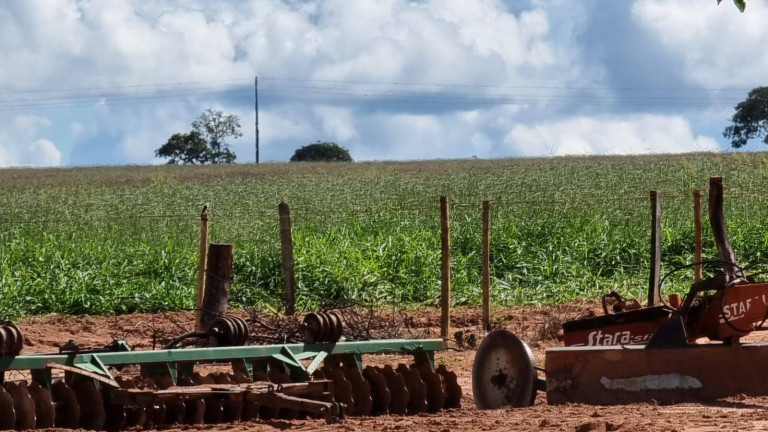 Imagem Fazenda à Venda, 2.400 m² em Paranatinga Imagem Fazenda à Venda, 2.400 m² em Paranatinga